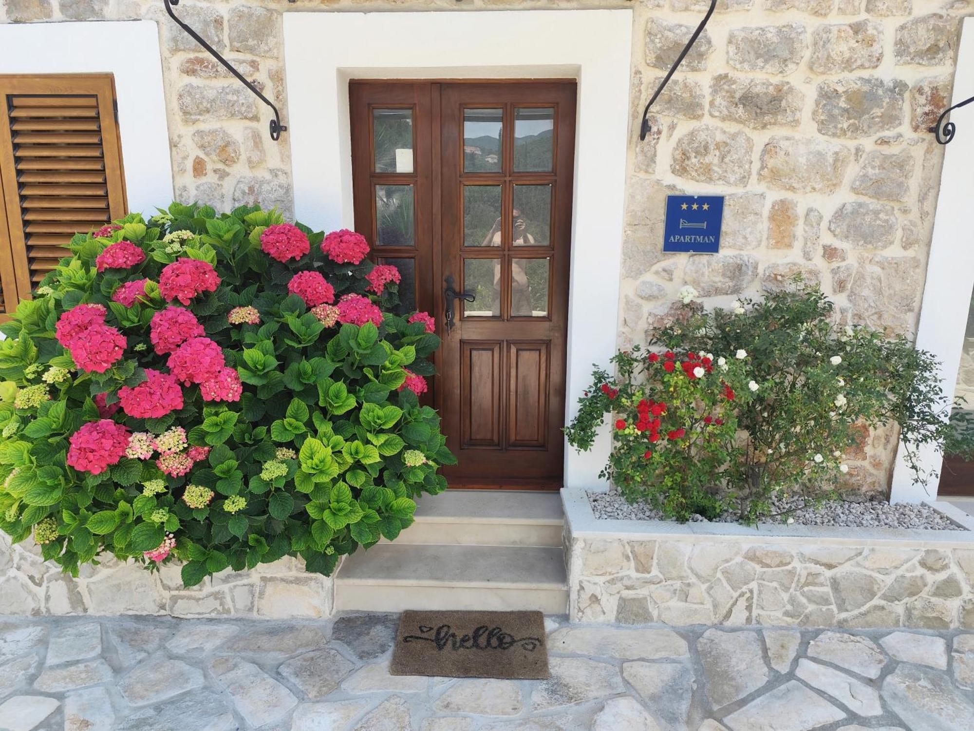 Apartment Mistral - Cosy Apartment With Sea View Molunat Esterno foto