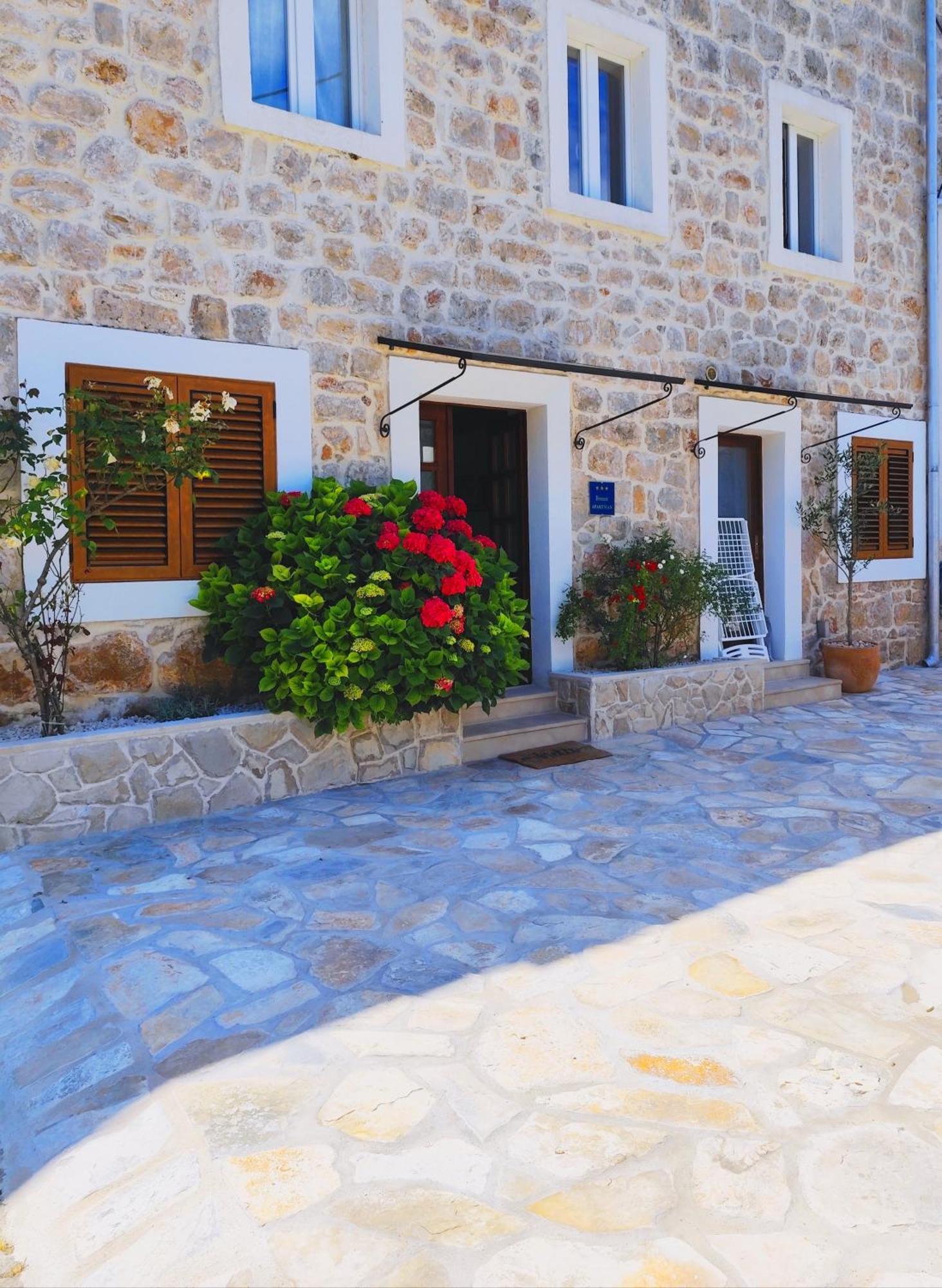 Apartment Mistral - Cosy Apartment With Sea View Molunat Esterno foto